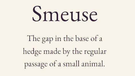 Cian McCarthy tweet media