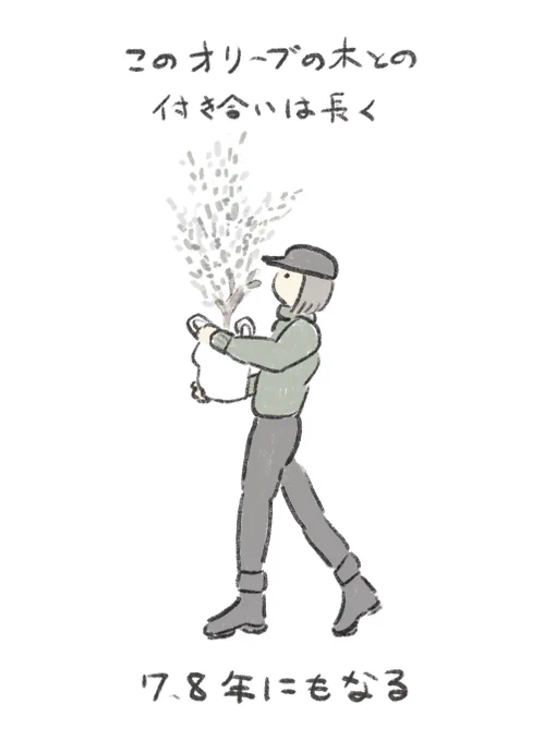 オリーブは長生き 1/6 