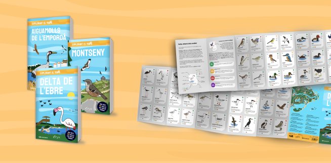 Ja teniu plans per aquesta Setmana Santa? Nosaltres us en proposem tres! 😜

🦩 Visita al Delta de l'Ebre
🦆 Visita als Aiguamolls de l'Empordà
🦉 Visita al Montseny

Agafeu els prismàtics i exploreu tots els racons d'aquests parcs! ✅