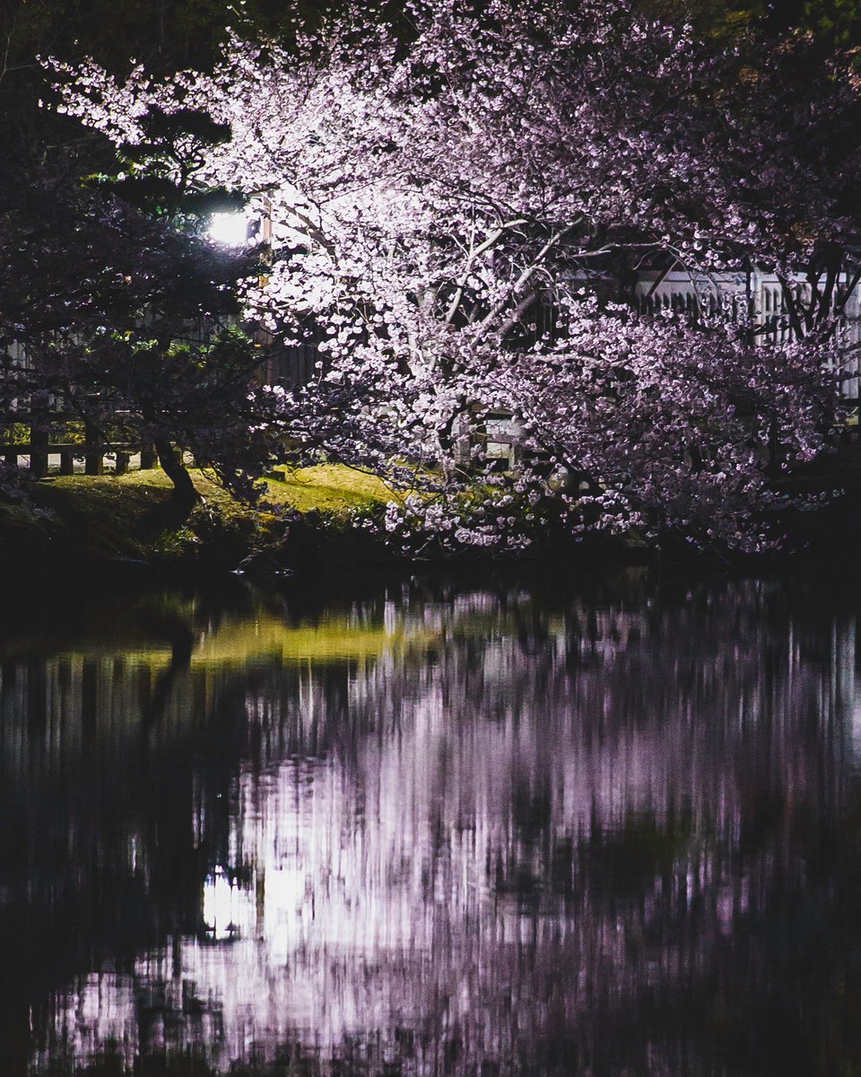 Agi（あぎ） (@agito_photo) on Twitter photo 