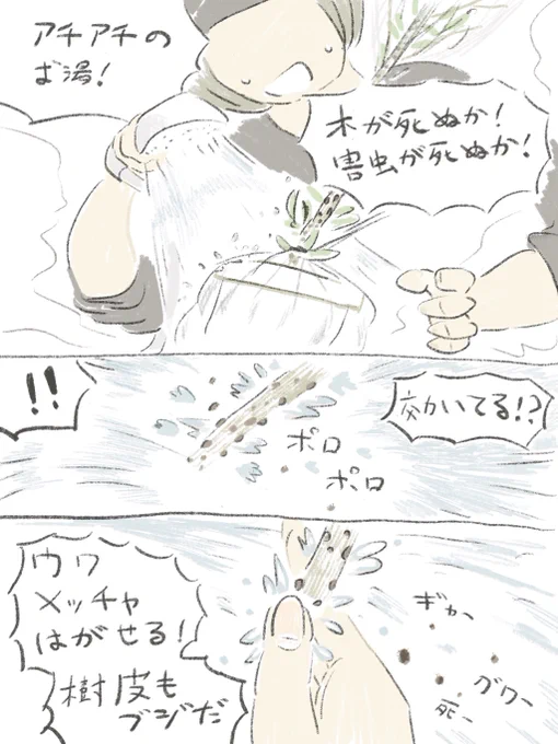 オリーブは長生き 4/6 
