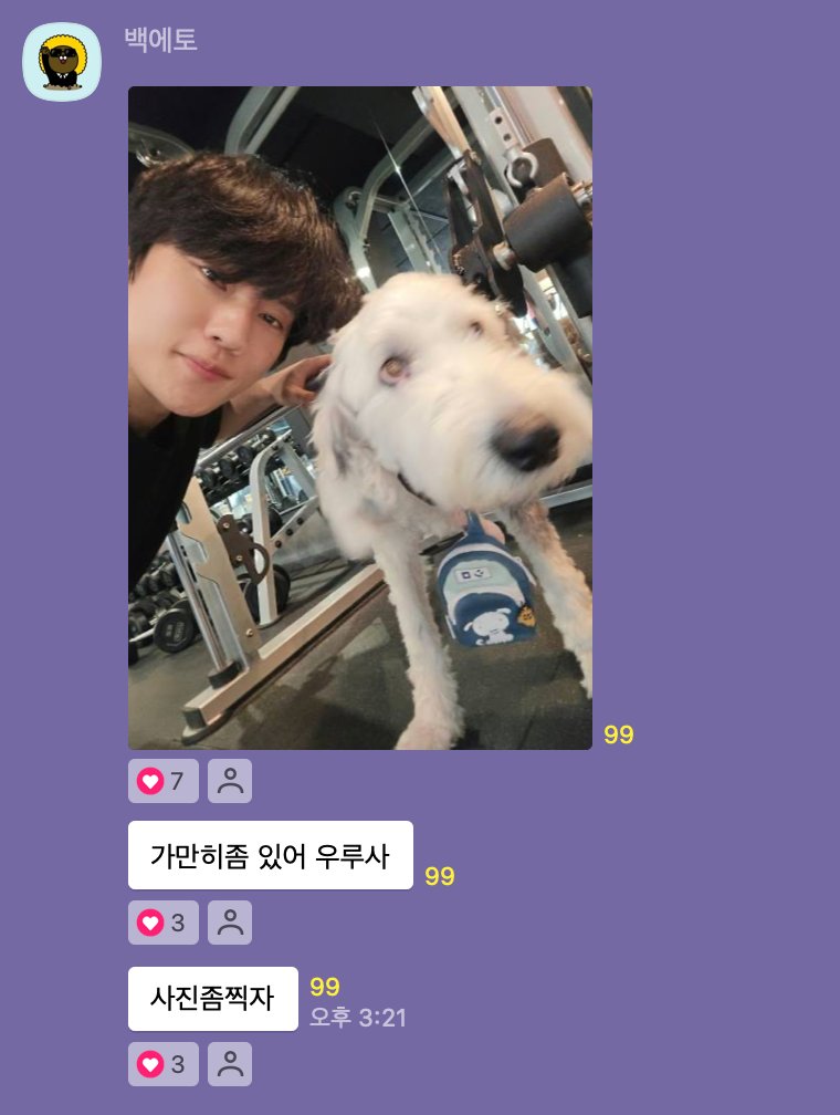 우루사도인태도,,,너무귀엽다,,,