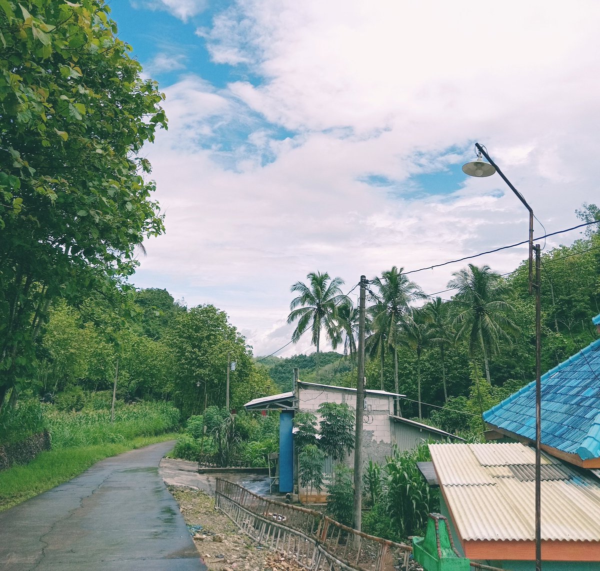 aisyaafrh's tweet photo. KKN dump🐣

#photograghy #dump #photo #KKN #nature #JawaTengah https://t.co/cCr48SMBLB