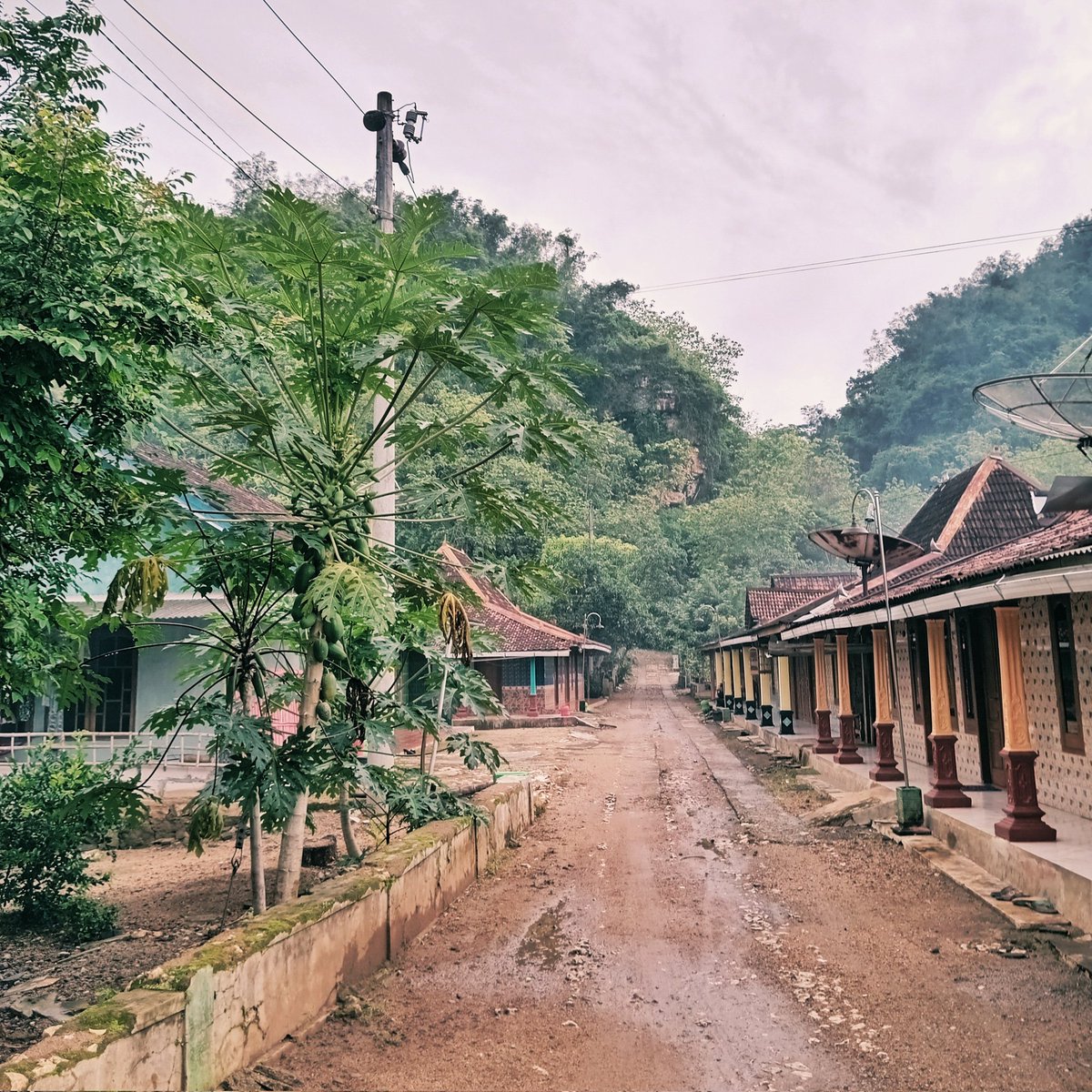 aisyaafrh's tweet photo. KKN dump🐣

#photograghy #dump #photo #KKN #nature #JawaTengah https://t.co/cCr48SMBLB