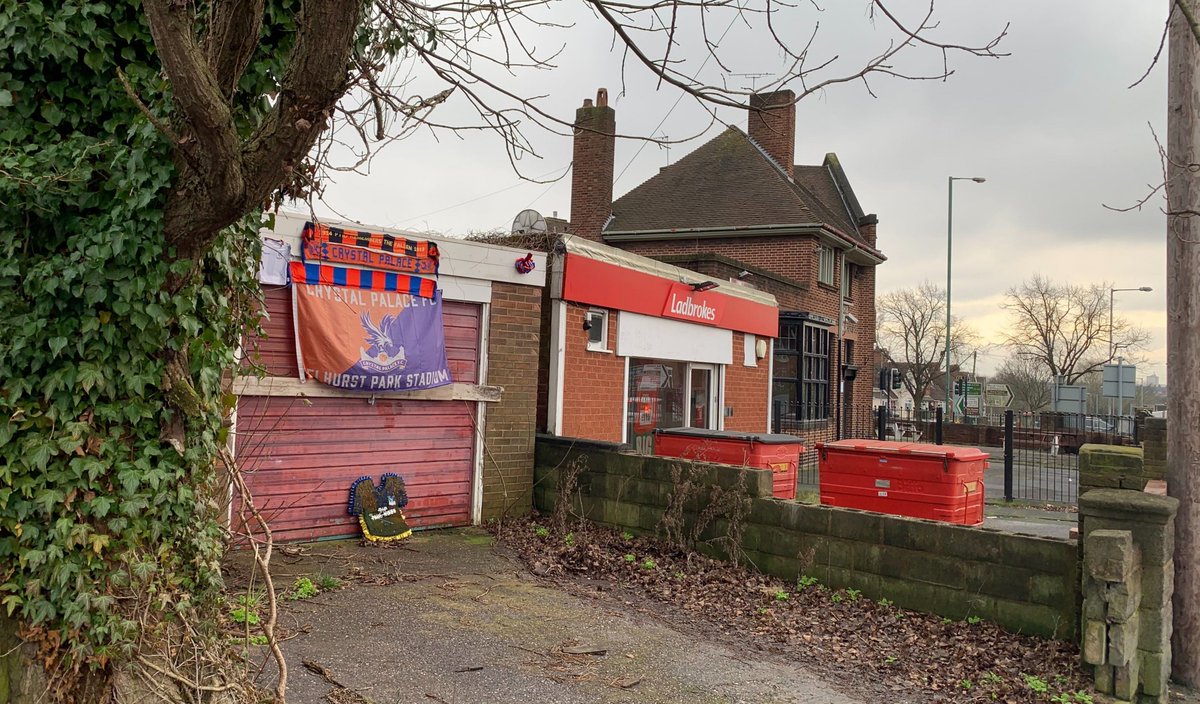 Cantona Collars AKA Larry tweet media