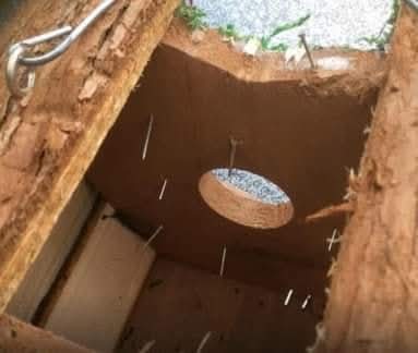 Get Wild 🐦 🦋 🐝 🍃 tweet media