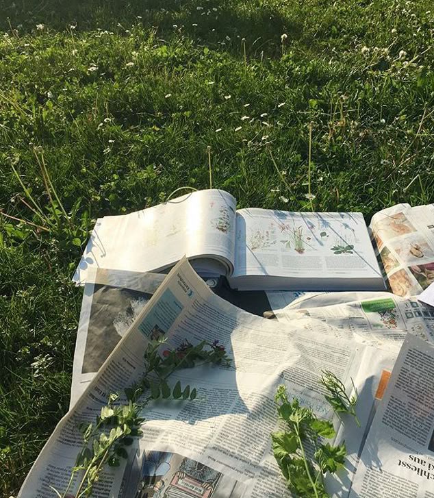 fatedlight's tweet image. 