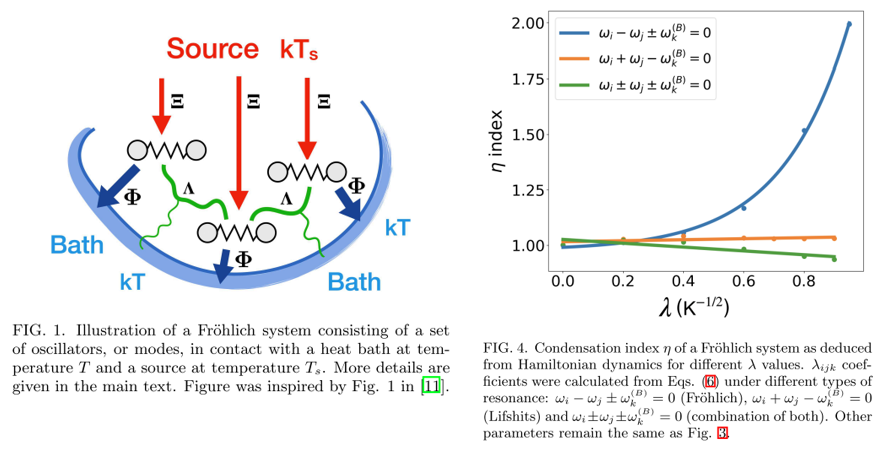 FScholkmann's tweet image. Frรถhlich condensation (linked to coherent excitations in biomolecular systems) can be predicted at room temperature by classical Hamiltonian dynamic.
Preto et al.: arxiv.org/abs/2504.05543
"...implications for energy storage, long-range selective intermolecular forces & cognition"