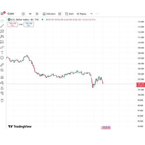 Make the U.S dollar become the king of currency

$DXY hits ATH once again