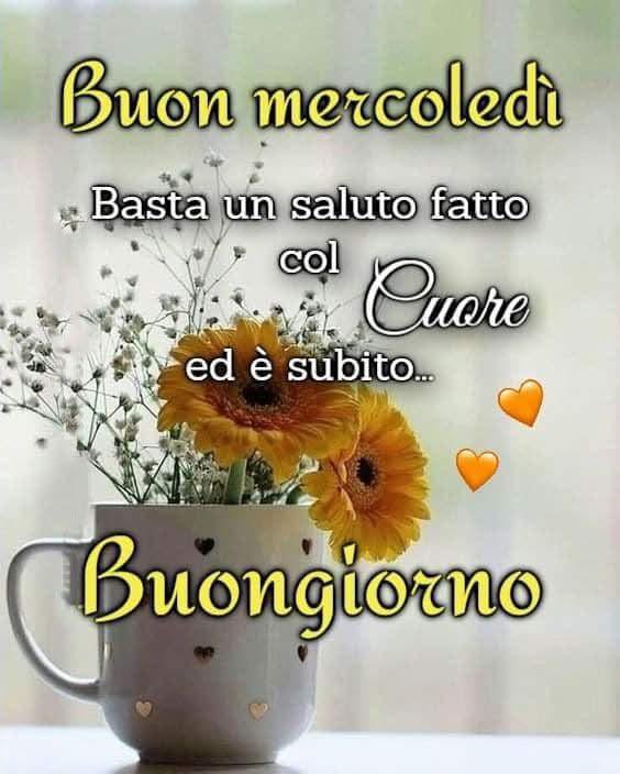 RITABIANCHi56 tweet media