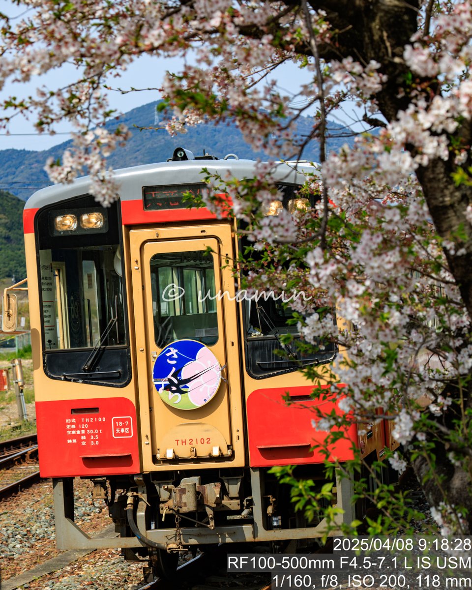 cso0's tweet photo. 25.04.08
#天竜浜名湖鉄道
#天竜浜名湖線
#天浜線
#鉄道
#第三セクター
#th2102
#キハ20
#キハ20国鉄色復刻
#canon
#my_EOS_photo
#キヤノン党でほめあいたい
#さくらトレインプロジェクト https://t.co/PWSnucz6iY