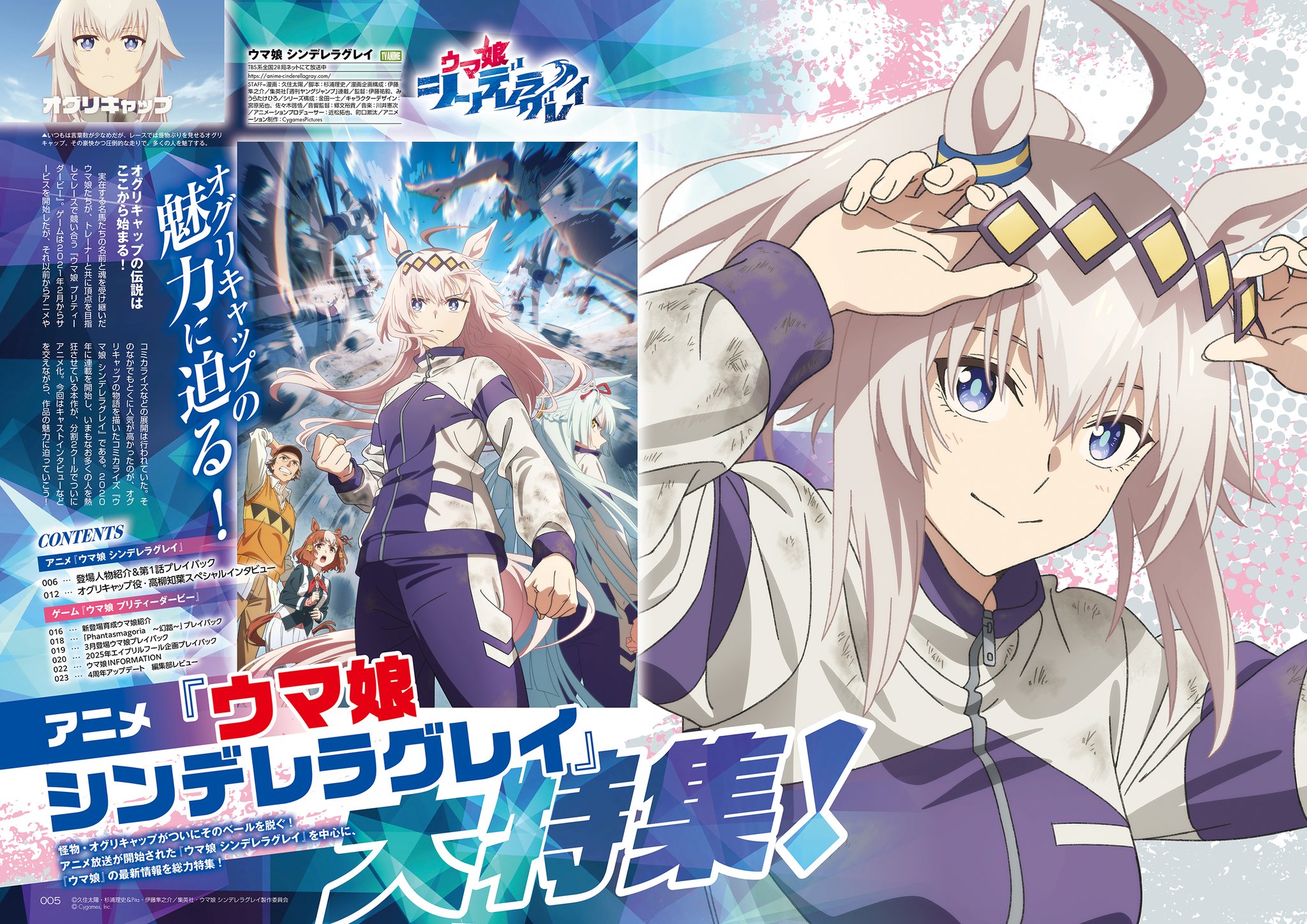 24時間限定タイムセール ウマ娘シンデレラグレイー その名は-オグリキャップ 告知ポスター ポスター