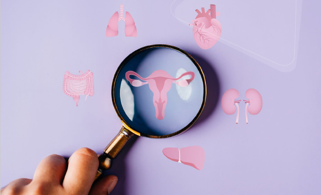 InterfibioURV tweet media