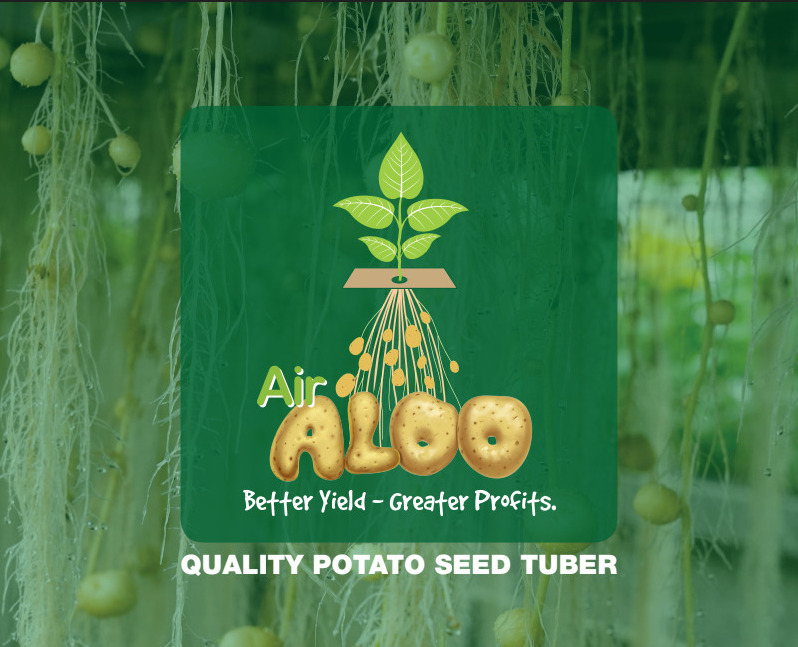 JainTissueCrops's tweet photo. Potatoes… grown in air? 🥔💨
Yes, it’s real—and it’s happening @JainIrrigation !
Big thanks to IndianPotato for featuring our Air Aloo innovation. With tissue culture, aeroponics & climate-controlled tech, we’re changing how India grows its spuds—cleaner, faster, better.
🔗 Read in English
https://t.co/e8tlxv8Qq6

हिन्दी में पढ़ें
https://t.co/N8UPjXP1dF
#airaloo #potato #airgrown #jainhitech #innovation #technology #agriculture #jainirrigation #indianpotato