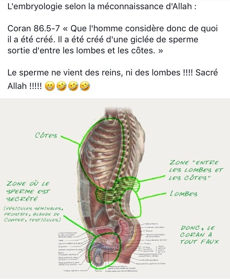 allah2_0's tweet image. J'ai cru en lui, il n'a pas cru en moi.
Son seul défaut : ne pas savoir lire.
@WissemEcom 🙏