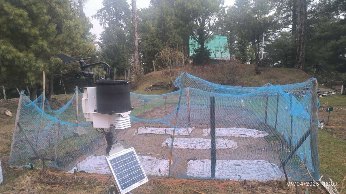 GojeryShowkat's tweet photo. Our ongoing RTE at high altitude Botanical Garden ~ 2700 m.  asl.
# Local adaptation# Kashmir Himalaya https://t.co/FZqrwa7VxP