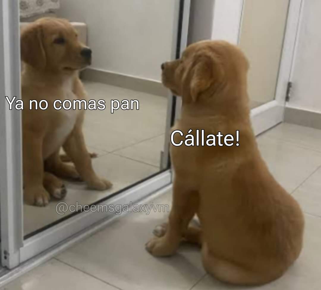 En Júpiter (@en_jupiter_) on Twitter photo 