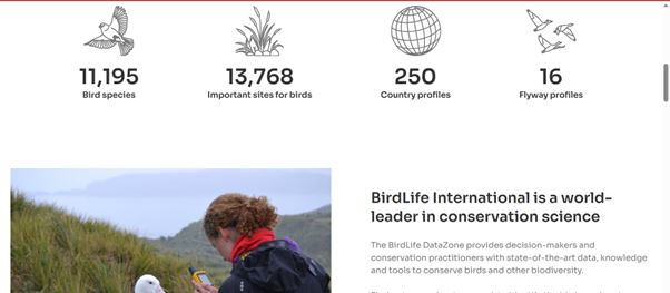 ndanganga's tweet photo. Discover the #science underpinning global #bird #conservation. Visit https://t.co/lY0L63h9zY https://t.co/ra5uB6HFTa