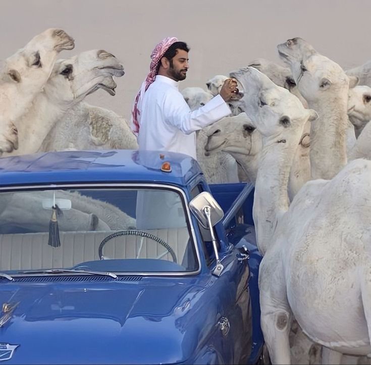 تمرك العابرين .. وما تسلم عليك
إلا غريب .. طوته الارض بسنينها

قال انت جالس لحالك تنتظر من يجيك
قلت انتظر نفسي .. اللي ماعرف وينها