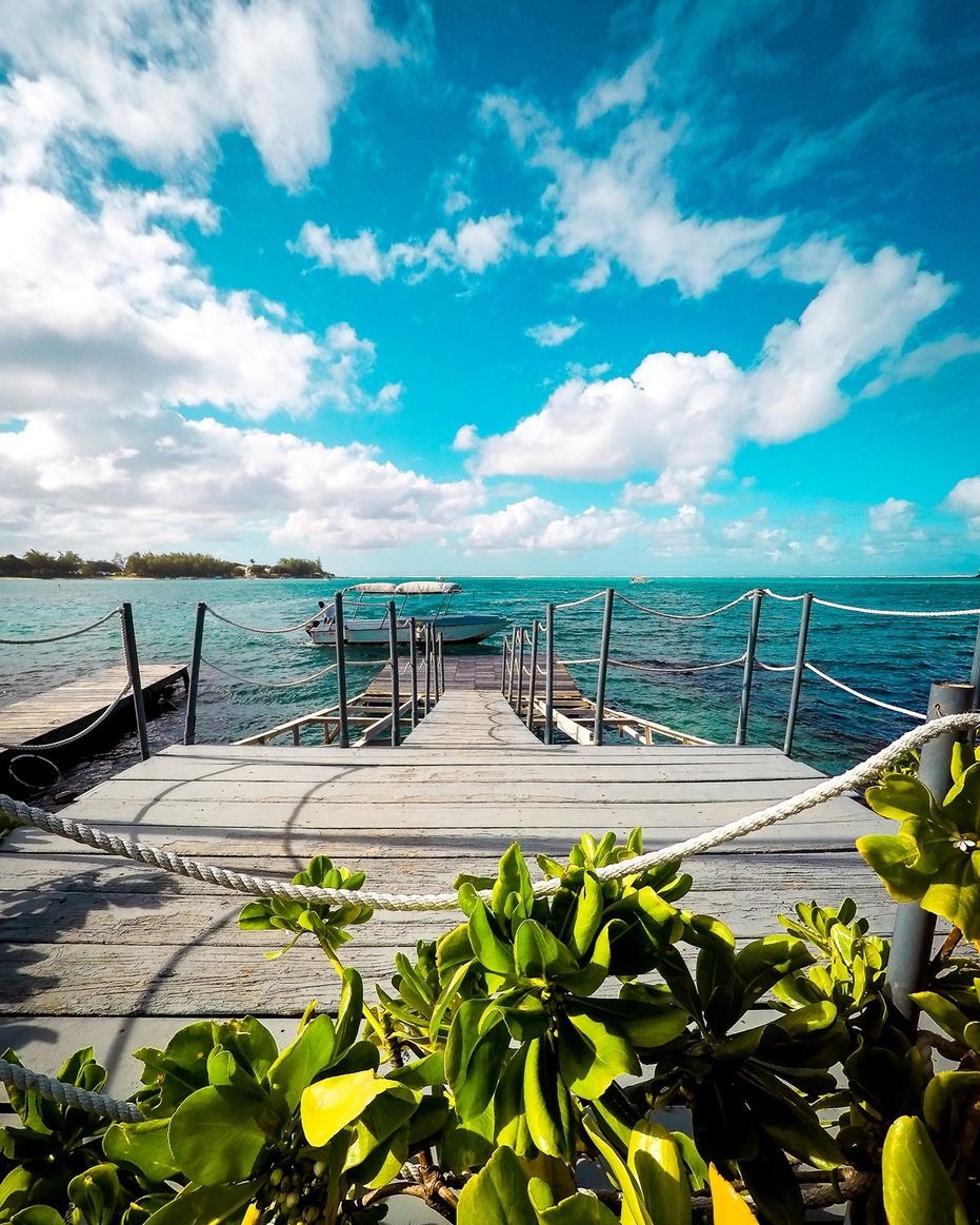 Au cœur du lagon de Blue Bay, l’île des Deux Cocos vous invite à une escapade de rêve.

🌊 Sable blanc, eau turquoise et jardin tropical… un coin de paradis privé à découvrir. 🌴✨

📍Ile des Deux Cocos

#ilemaurice #mauritiusnow #iledesdeuxcocos #discovermauritius