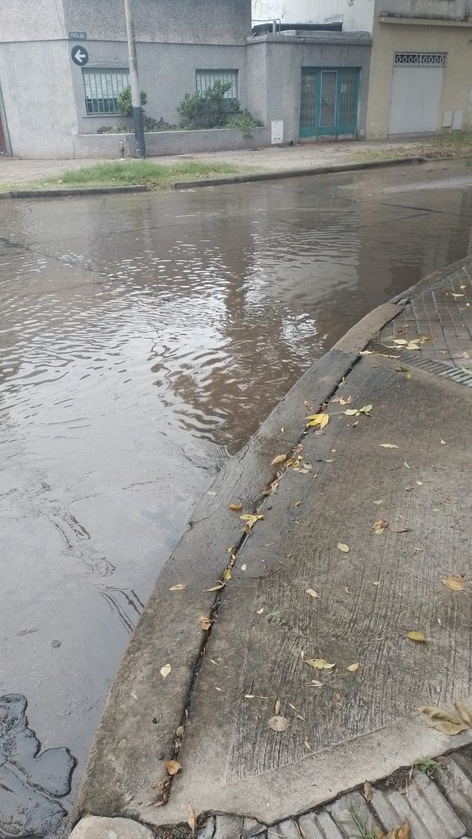 pek82's tweet photo. Hace más de una semana que están los caños rotos en Rioja al 4700 ya varias personas mayor de edad y no se han caído serían tan amables de ir a solucionar el problema gracias @AguasSantaFe @CalleDeRosario @TransitoRos @indiamei @MFernandaRey @Rosariociudadok https://t.co/kkt0xR0j11