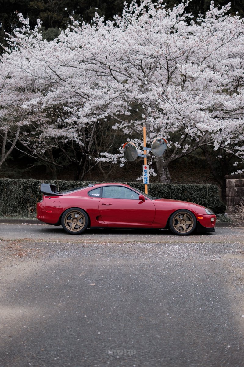 FordXBFalcon's tweet photo. 念願の4輪対向キャリパーになりました
パツパツ具合たまりませんわぁ… https://t.co/Rgjnaop0kB