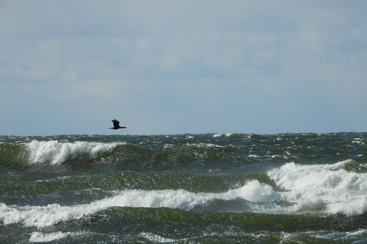 Rihtniemi 09.04.25  klo 14.00