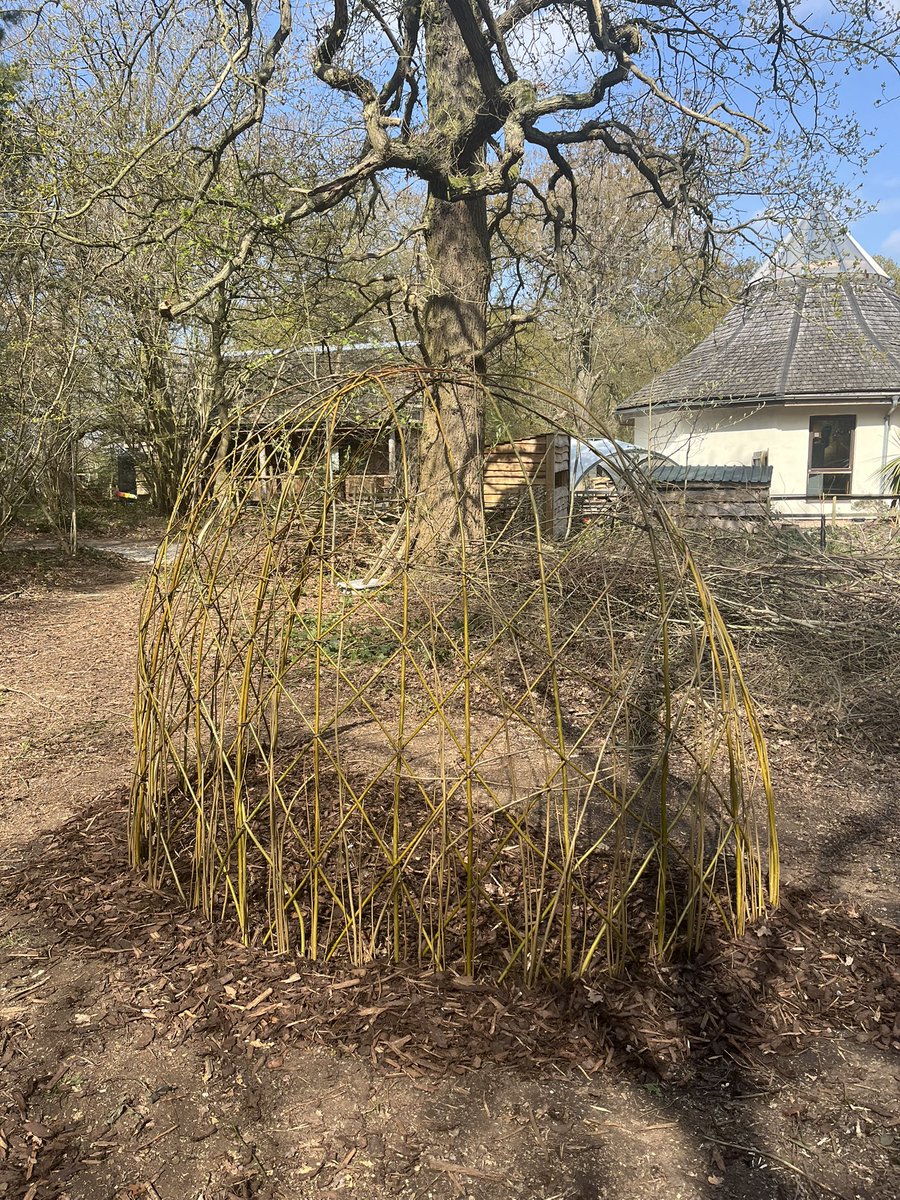 Hill Holt Wood (@hillholtwood) on Twitter photo The living willow dome project has begun. Next Monday we are making a fedge if you would like to get involved just get in touch <a href="/Shine_Lincoln/">Shine Lincolnshire</a> The living willow dome project has begun. Next Monday we are making a fedge if you would like to get involved just get in touch <a href="/Shine_Lincoln/">Shine Lincolnshire</a>