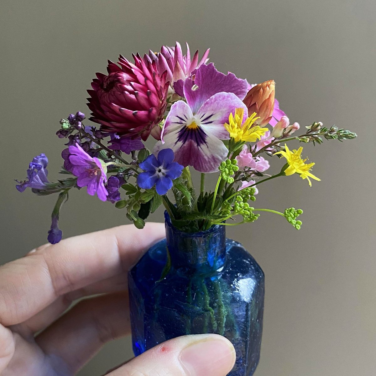 silverpebble's tweet photo. Tmrw evening at 8pm I'll be opening my Etsy shop for a limited number (30ish) of my Victorian ink bottle tiny posy kits. They're designed to alleviate anxiety & lift mood while you create something small & beautiful. 
They contain a burst lip handmade Victorian ink bottle (from 1860-1900), 
a booklet I've written about the neuroscience of how the kit will help your mental health
an actual tiny posy of dried flowers (made by me)
all in a hand-printed box you can give as a gift. 
I'll also be listing my botanical greetings cards in my shop tmrw evening too
If you buy something from me you'll be helping me massively tbh-I'm recovering slowly from being seriously unwell with a breakdown since December & unable to work. A RT would help so much 🌿