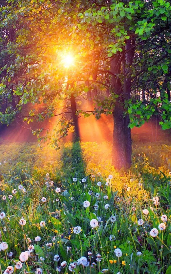 Always believe that something wonderful is about to happen... 🔆
Good afternoon X World 💚💛