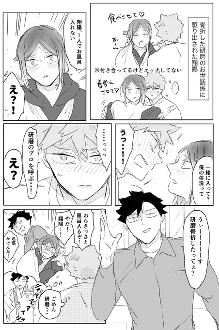 骨折したンマ(ひなけん) 