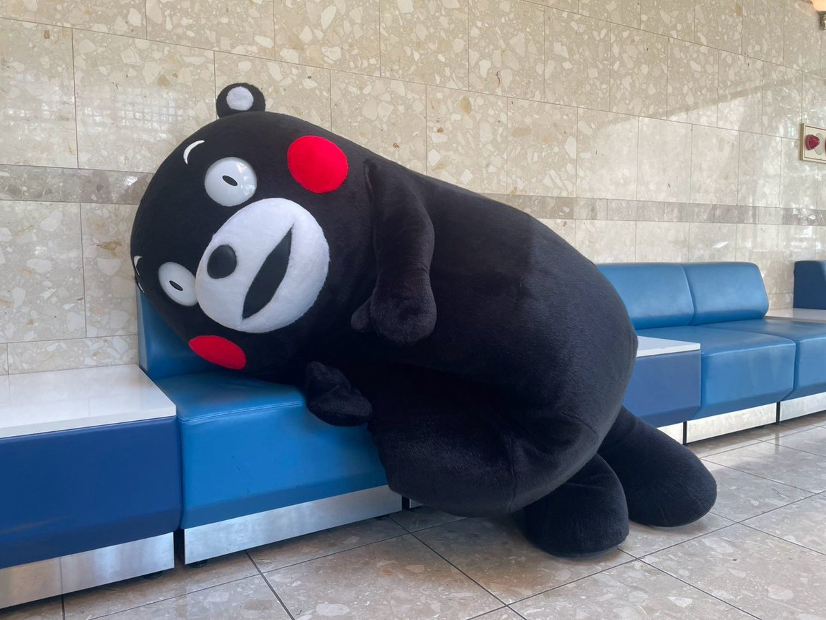 55_kumamon's tweet photo. なんだか眠くなってきたモン・・・おやくま〜☆ https://t.co/j86tx0zR2Y