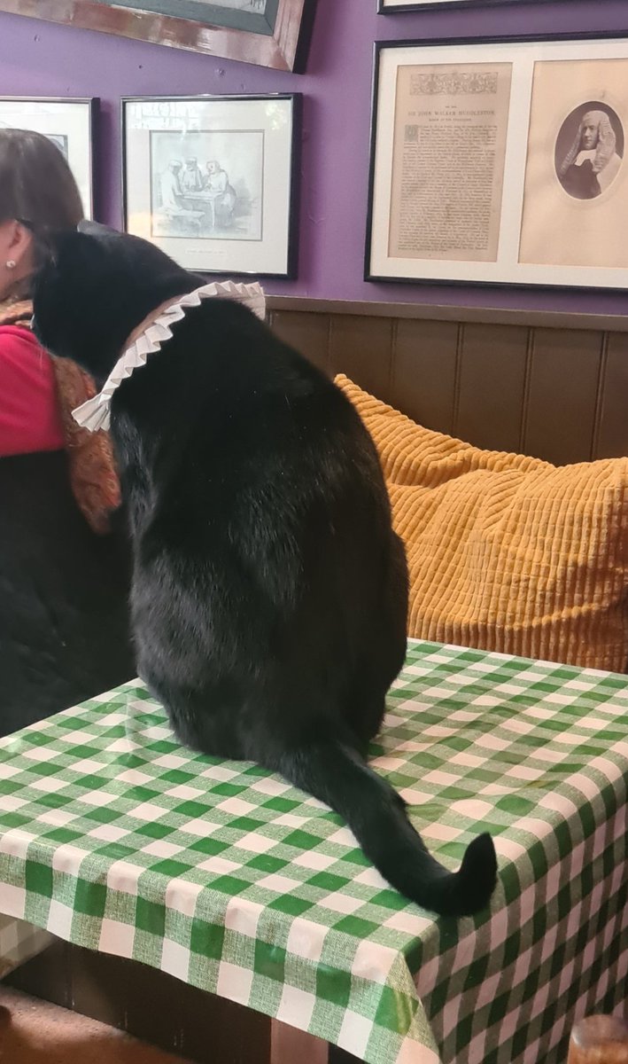 Richard Parnham 🏳️‍🌈 tweet media