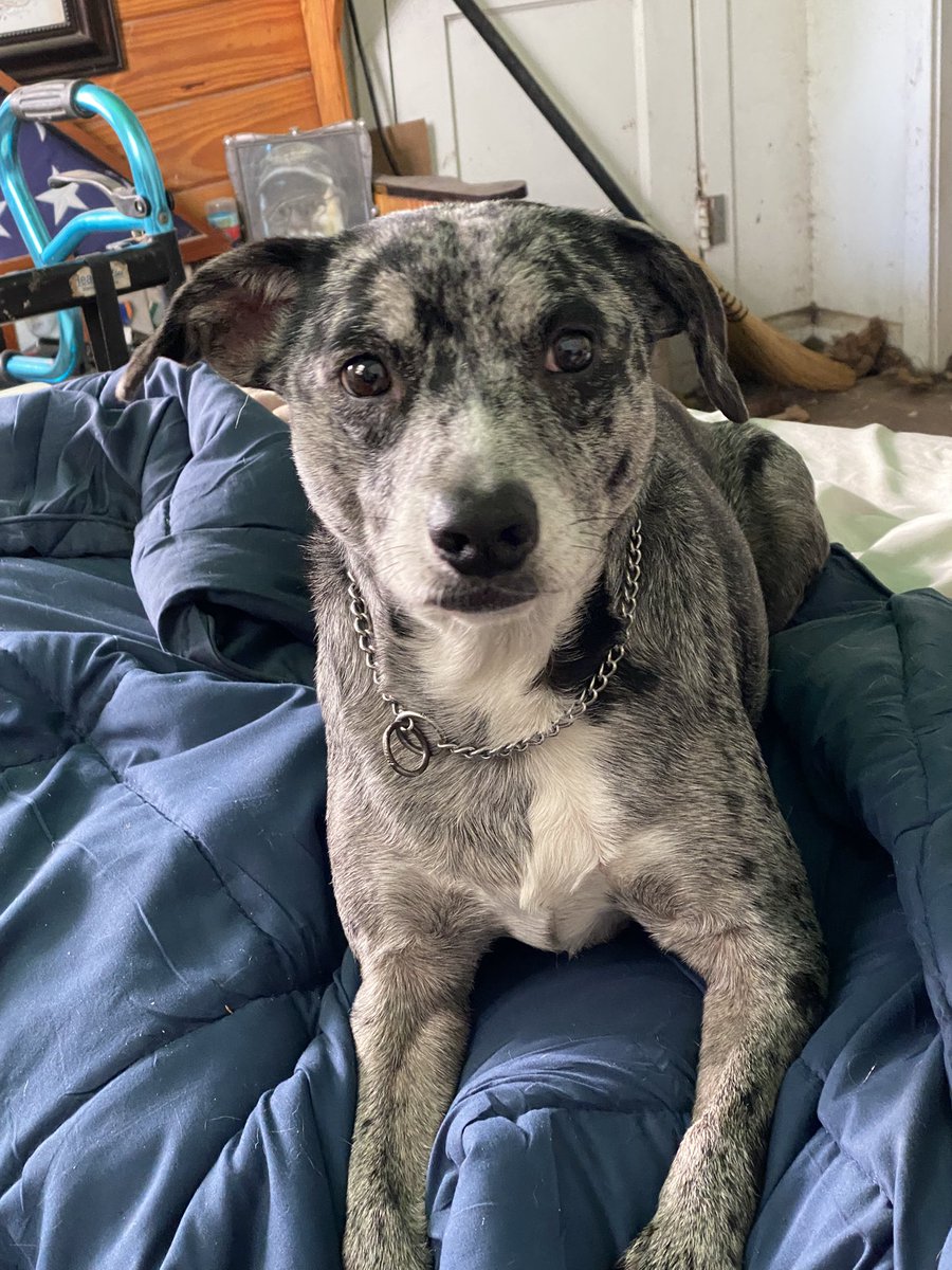 kayshepp tweet media