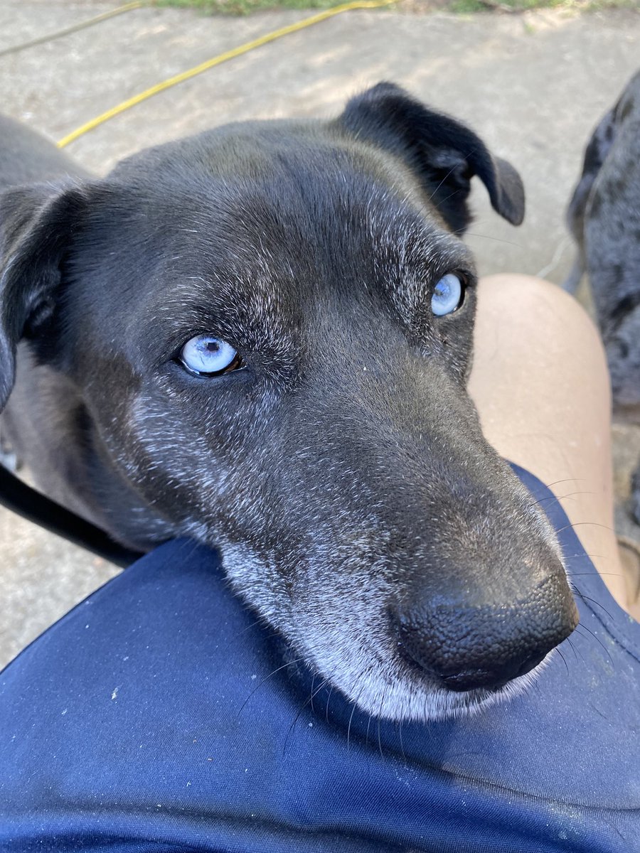 kayshepp tweet media