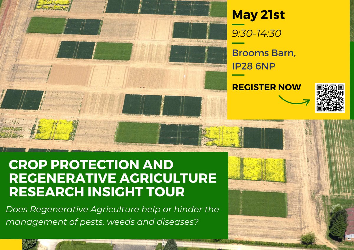 Rothamsted's tweet image. Join us to answer questions about regenerative farming practices including:
🐛Integrated pest management strategies for #CSFB
🌾Soil disturbance vs weed control
🚜Improving traditional methods and reducing fungicides

Register: tickettailor.com/events/rothams…
 #farming #agriculture