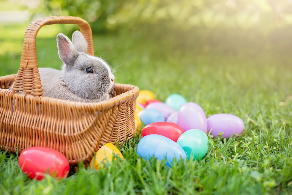 If any Muslims make you feel guilty of celebrating Easter 🐣

TELL THEM TO FUCK OFF AND STOP INTERFERING WITH OUR TRADITIONS