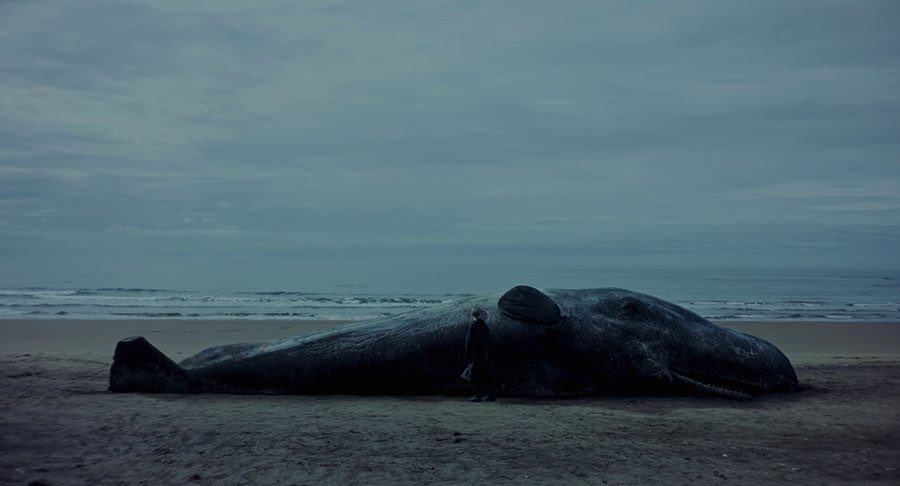 elrau007's tweet photo. 📽 1817 | Una ballena (2024)
-
🎬 Pablo Hernando
-
#ElCineQueHeVisto✔️
#UnaBallena #PabloHernando https://t.co/gX1GxEyKr4