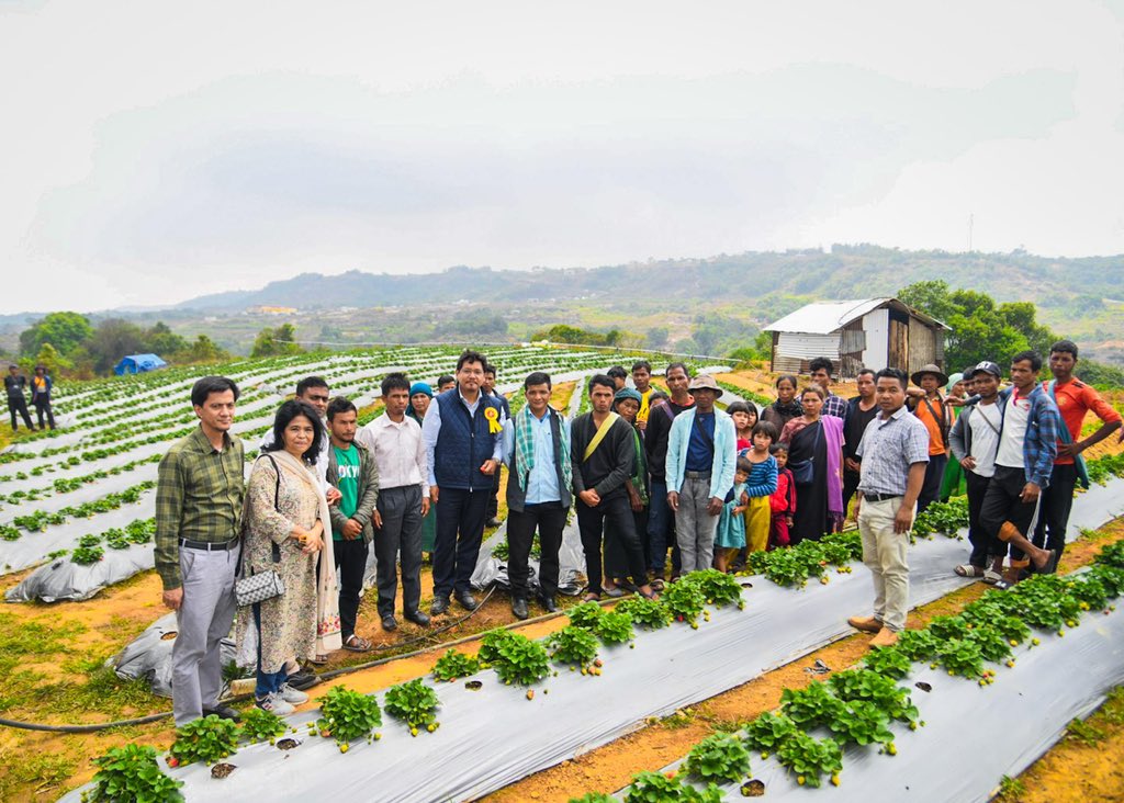 It was a sweet meeting at Syntung, tasting the aromatic strawberries of Mawkynrew C&amp;RD Block. Inspired to see the efforts of the community in creating a value chain for #Strawberry. 

With Govt’s support the villages under Mawkynrew Block are sending their strawberries to other