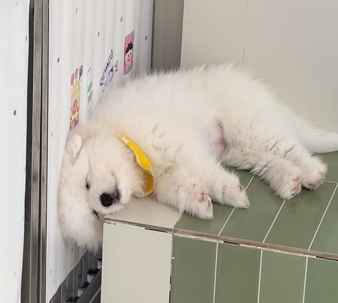 ฝันว่าได้หนุนตักพี้สาว