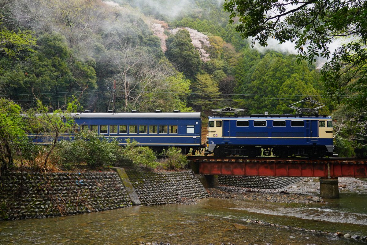 2025/4/3　大井川鐵道　ED31 4
小さな鉄橋を渡るブルートレイン。