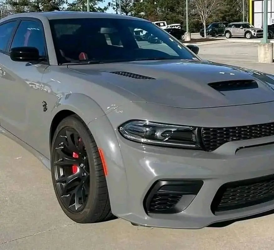 santa Clos (@santaclos541307) on Twitter photo 