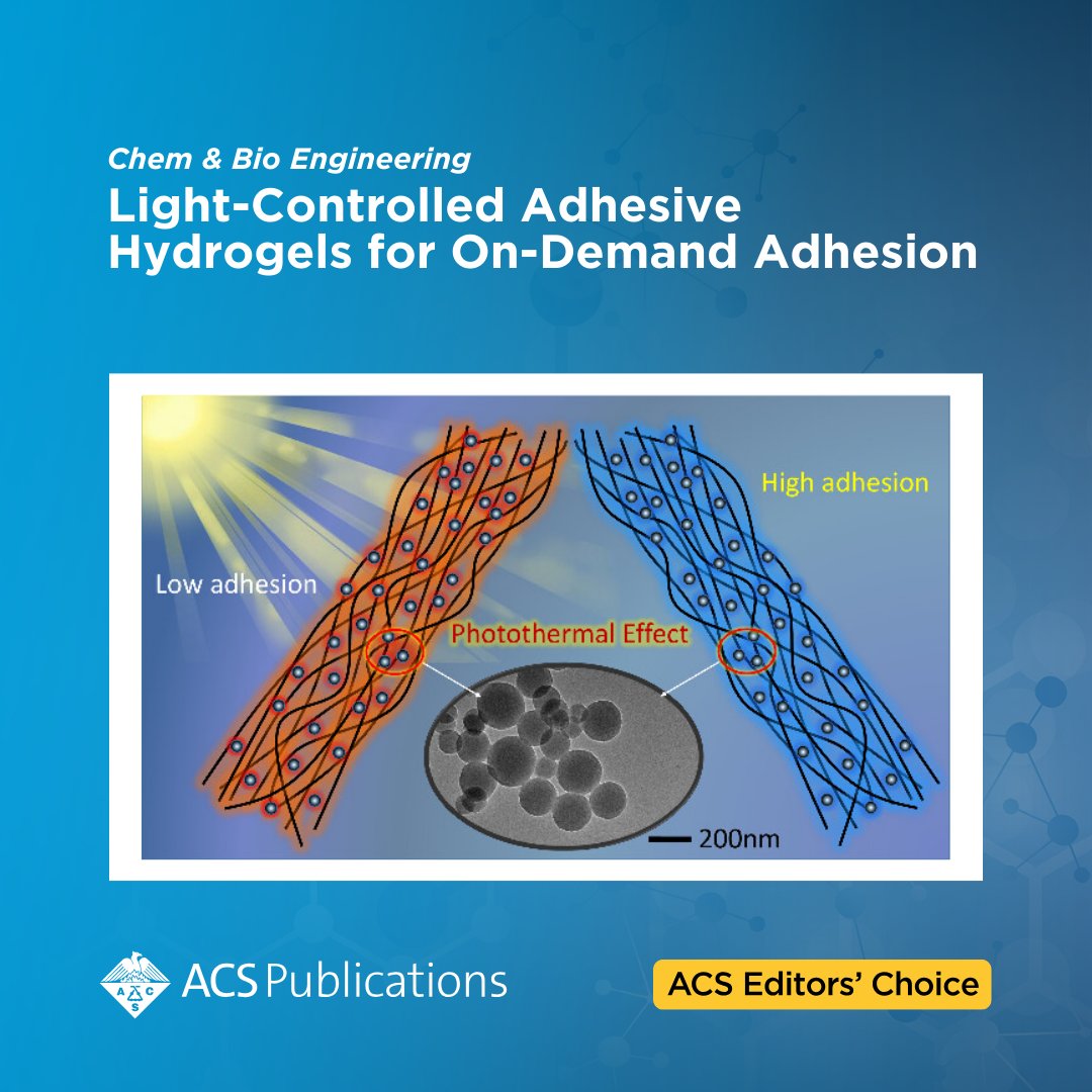 ACSPublications's tweet photo. 'Light-Controlled Adhesive Hydrogels for On-Demand Adhesion' from Chem &amp; Bio Engineering is an open access #ACSEditorsChoice.

📖 Read the article: https://t.co/u8dfPOonRH https://t.co/sxJH9KCIjW