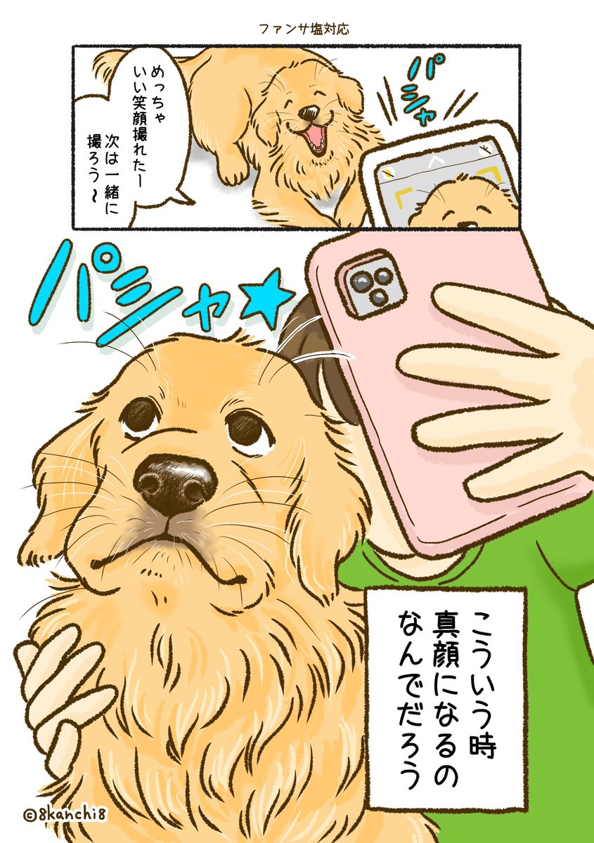 写真一緒に撮りたいけど、撮る時だいたい塩対応な顔される気がする〜🐶📸 