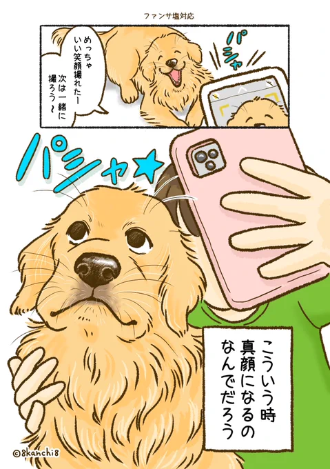 写真一緒に撮りたいけど、撮る時だいたい塩対応な顔される気がする〜🐶📸 