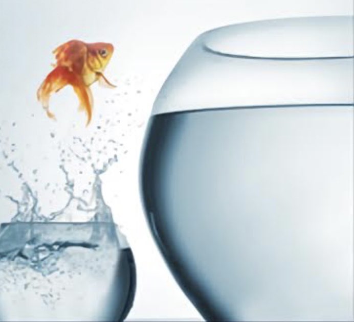 JohnRDallasJr's tweet image. Metacognitive perspective is believed to be the No. 1 differentiator in a successful leader’s #System2Thinking.

Systematize perspective.

#Rethink situational anomalies, strengths, weaknesses, opportunities, and threats—#ASWOTs.

Metacognitively recalibrated #perspective works.