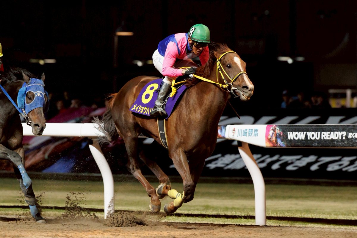 川崎記念 写真速報】 本日、川崎競馬場で川崎記念が行われ、メイショウ