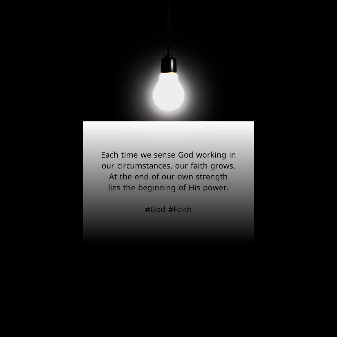 Teddy Bichon tweet media