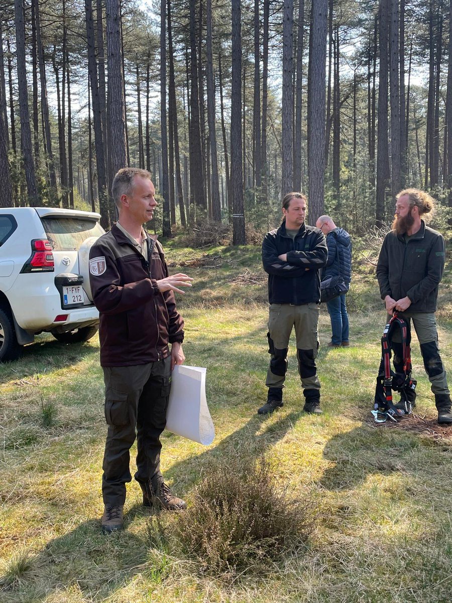 Natuur en Bos tweet media