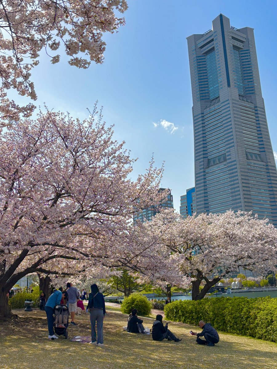 korokoro_yutai's tweet photo. 妻は みなとみらい🌸〜山下公園🌷を散策した後に横浜の 石塀小路豆ちゃ でランチしたとのこと🥢
天ぷらが美味かったってさ🍤
#DDHD
#株主優待
#横浜スタジアム🏟️ https://t.co/Pe8v32xOzX